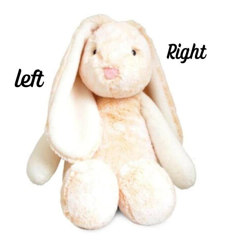 Personalised Small Frankie Bunny - Cream 25cm - Image 5